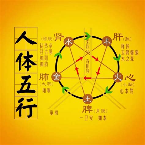 酒五行属什么|一文读懂白酒的五行哲学